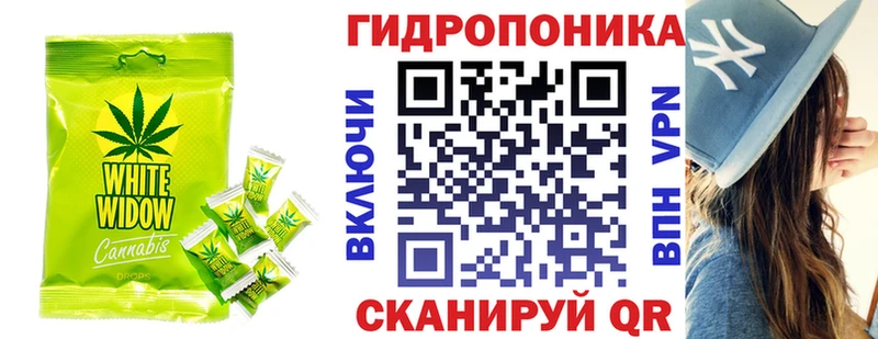 Cannafood конопля  Малгобек 