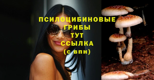 эйфоретик Куйбышев