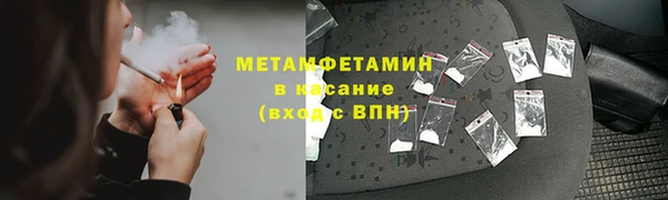 сатива Новокубанск